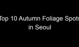 Top 10 Autumn Foliage Spots in Seoul