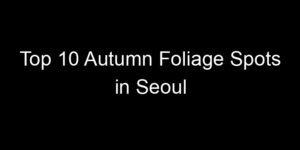 Read more about the article Top 10 Autumn Foliage Spots in Seoul