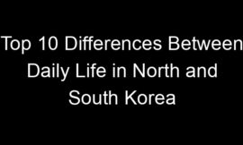 Top 10 Differences Between Daily Life in North and South Korea