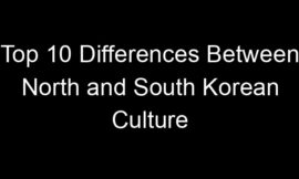 Top 10 Differences Between North and South Korean Culture