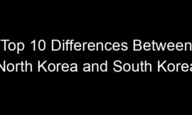 Top 10 Differences Between North Korea and South Korea