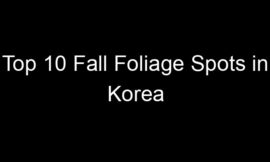 Top 10 Fall Foliage Spots in Korea