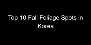 Read more about the article Top 10 Fall Foliage Spots in Korea