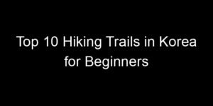 Read more about the article Top 10 Hiking Trails in Korea for Beginners