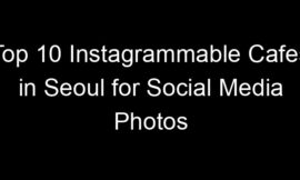 Top 10 Instagrammable Cafes in Seoul for Social Media Photos