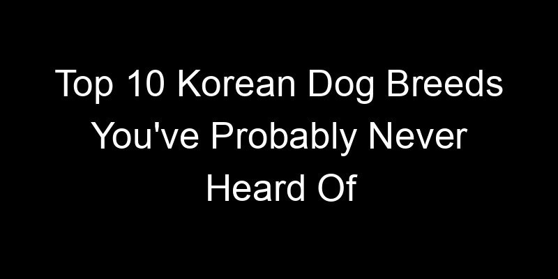 Read more about the article Top 10 Korean Dog Breeds You’ve Probably Never Heard Of