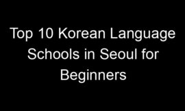 Top 10 Korean Language Schools in Seoul for Beginners