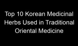 Top 10 Korean Medicinal Herbs Used in Traditional Oriental Medicine