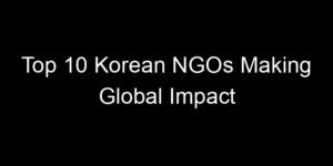 Read more about the article Top 10 Korean NGOs Making Global Impact