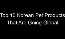 Top 10 Korean Pet Products That Are Going Global
