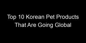 Read more about the article Top 10 Korean Pet Products That Are Going Global