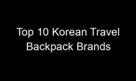Top 10 Korean Travel Backpack Brands