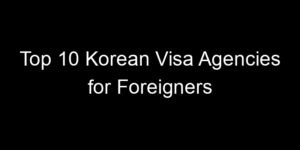 Read more about the article Top 10 Korean Visa Agencies for Foreigners