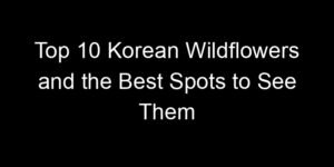Read more about the article Top 10 Korean Wildflowers and the Best Spots to See Them