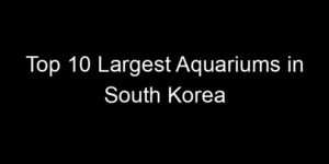 Read more about the article Top 10 Largest Aquariums in South Korea