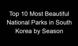 Top 10 Most Beautiful National Parks in South Korea by Season