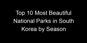 Read more about the article Top 10 Most Beautiful National Parks in South Korea by Season
