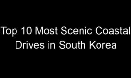 Top 10 Most Scenic Coastal Drives in South Korea