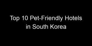 Read more about the article Top 10 Pet-Friendly Hotels in South Korea