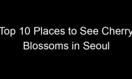 Top 10 Places to See Cherry Blossoms in Seoul