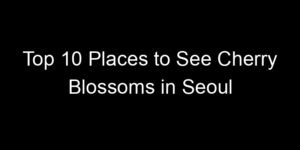 Read more about the article Top 10 Places to See Cherry Blossoms in Seoul