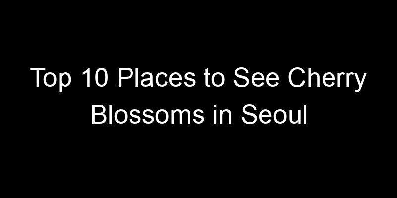 You are currently viewing Top 10 Places to See Cherry Blossoms in Seoul