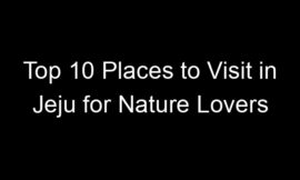 Top 10 Places to Visit in Jeju for Nature Lovers