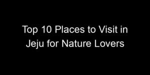 Read more about the article Top 10 Places to Visit in Jeju for Nature Lovers