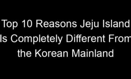 Top 10 Reasons Jeju Island Is Completely Different From the Korean Mainland