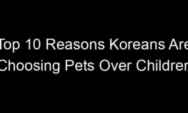Top 10 Reasons Koreans Are Choosing Pets Over Children