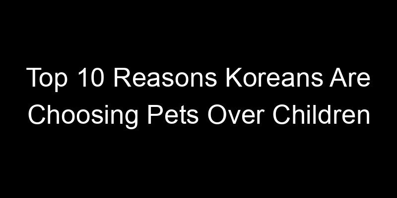 Read more about the article Top 10 Reasons Koreans Are Choosing Pets Over Children