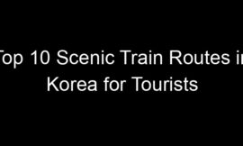 Top 10 Scenic Train Routes in Korea for Tourists