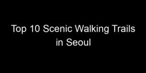 Read more about the article Top 10 Scenic Walking Trails in Seoul