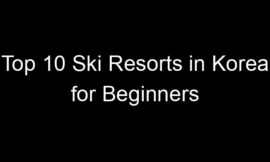 Top 10 Ski Resorts in Korea for Beginners