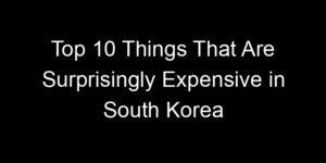 Read more about the article Top 10 Things That Are Surprisingly Expensive in South Korea