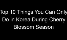 Top 10 Things You Can Only Do in Korea During Cherry Blossom Season