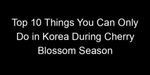 Read more about the article Top 10 Things You Can Only Do in Korea During Cherry Blossom Season