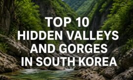 Top 10 Hidden Valleys and Gorges in South Korea