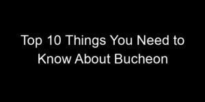 Read more about the article Top 10 Things You Need to Know About Bucheon