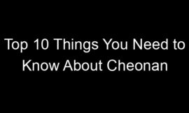 Top 10 Things You Need to Know About Cheonan