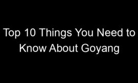 Top 10 Things You Need to Know About Goyang