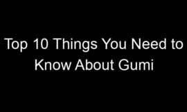Top 10 Things You Need to Know About Gumi