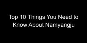 Read more about the article Top 10 Things You Need to Know About Namyangju