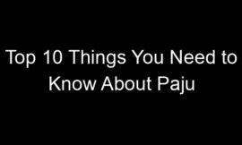 Top 10 Things You Need to Know About Paju