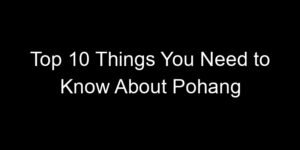 Read more about the article Top 10 Things You Need to Know About Pohang