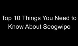 Top 10 Things You Need to Know About Seogwipo