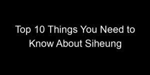 Read more about the article Top 10 Things You Need to Know About Siheung