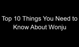Top 10 Things You Need to Know About Wonju