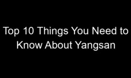 Top 10 Things You Need to Know About Yangsan