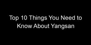 Read more about the article Top 10 Things You Need to Know About Yangsan